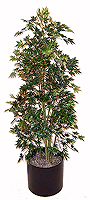 5' Silk Japanese Maple Bush  
Item#: S25103