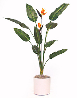 Silk Palm & Tropical Artificial Plants 
5.5 Silk Bird of Paradise Plant